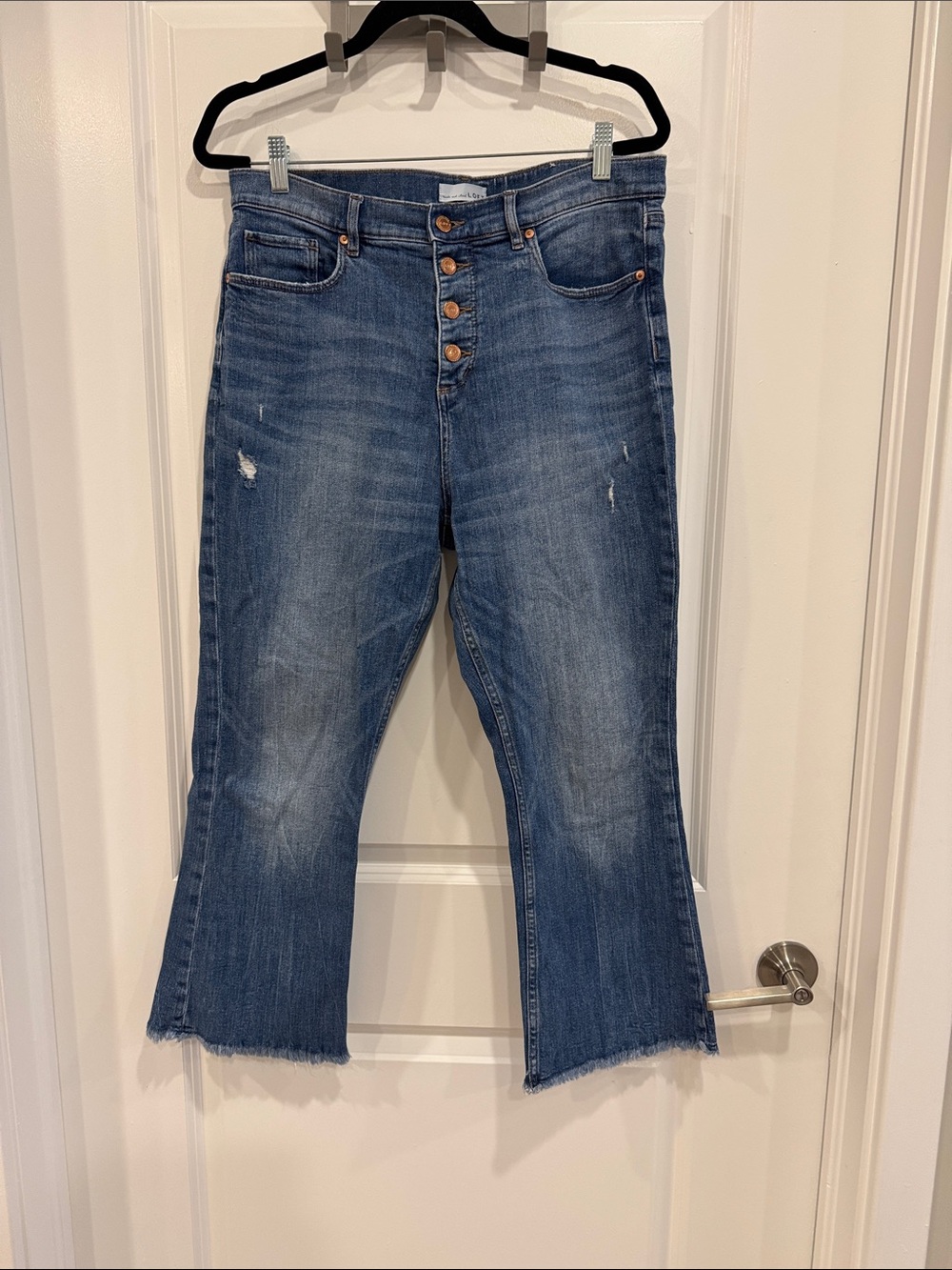 Loft Cropped Flared Jeans